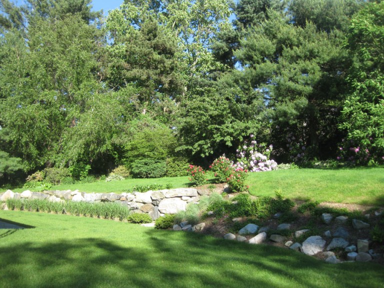 Mid-Century Modern_Phase 1_Before