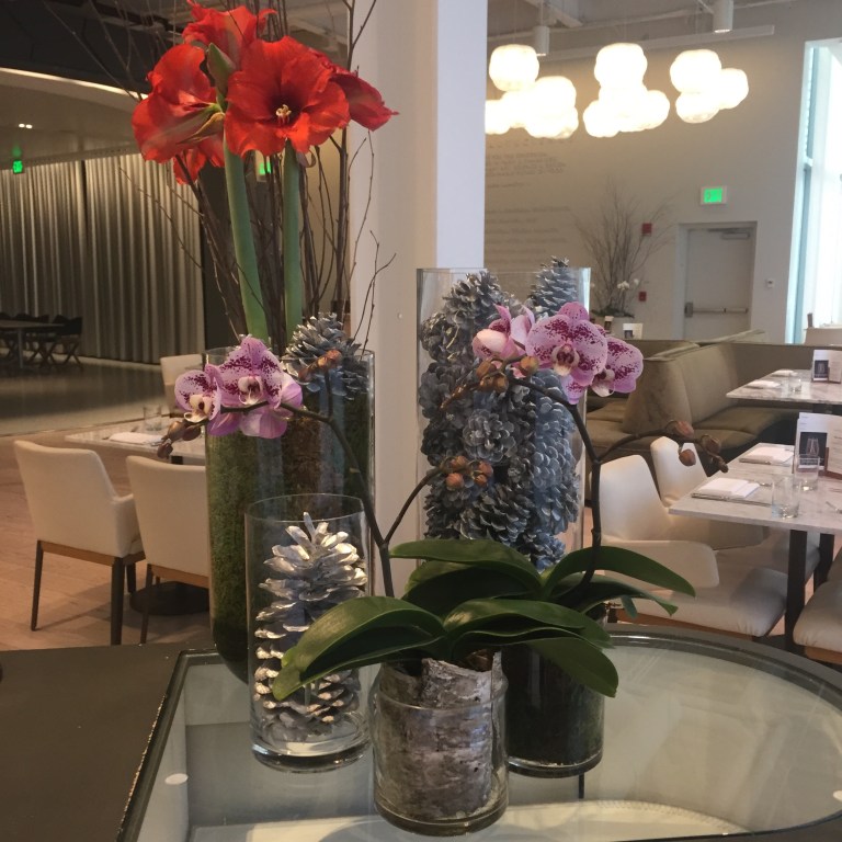 cafe-art-science-host-collection